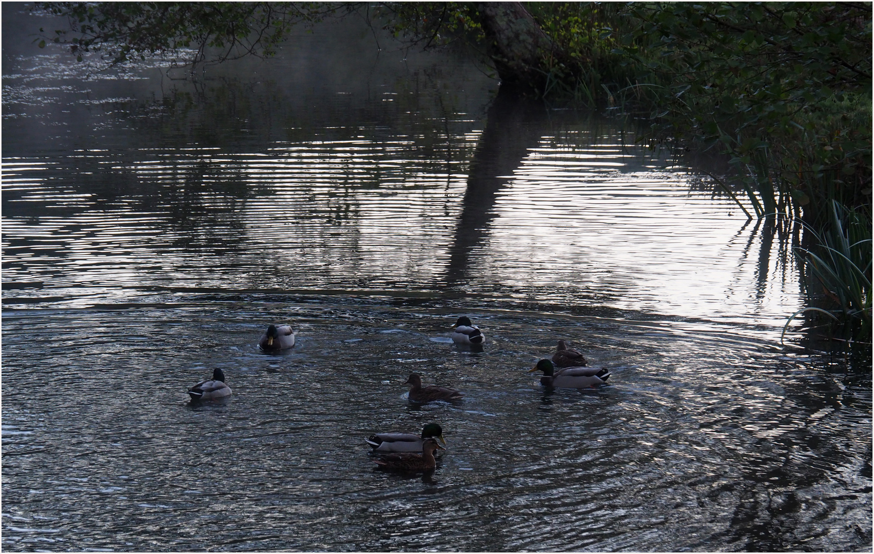 Faire des ronds dans l’eau