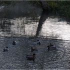 Faire des ronds dans l’eau