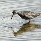 faire des ronds dans l'eau !