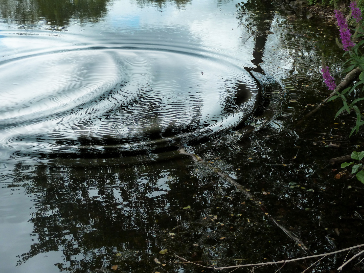 faire des ronds dans l'eau