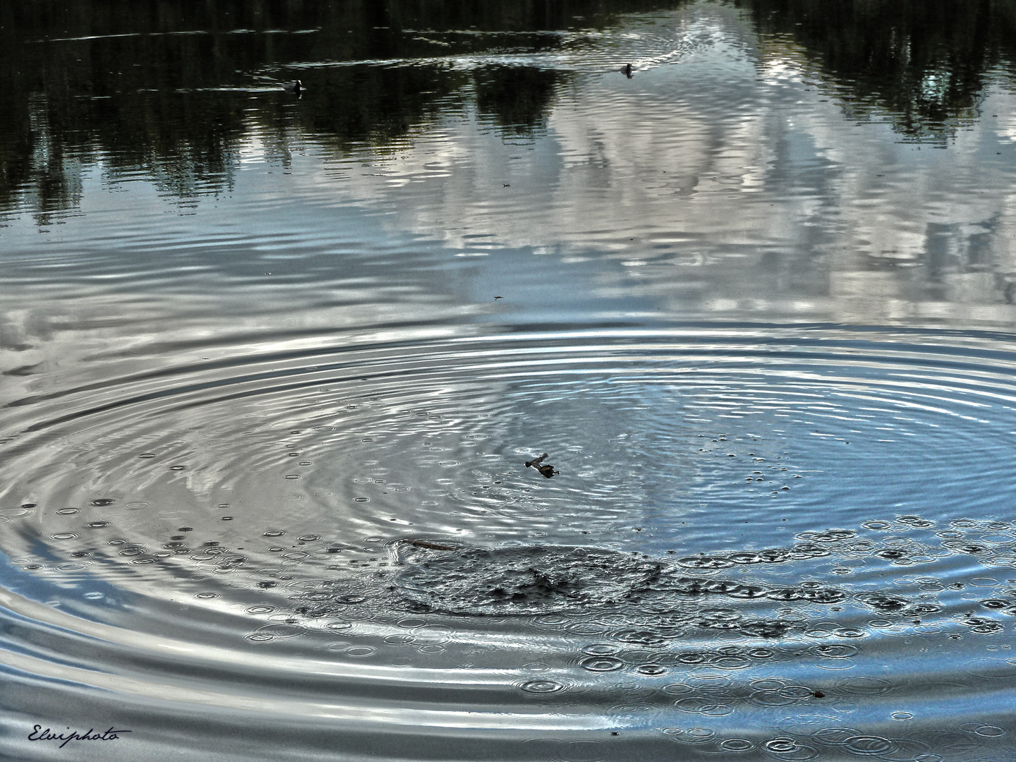 Faire des ronds dans l'eau