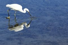 Faire des ronds dans l'eau !