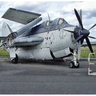 Fairey Gannet