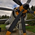 Fairey Gannet