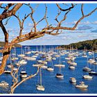 Fairlight Bay, Sydney