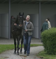 Fairly Fighter im Führring