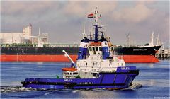 FAIRPLAY-24 / Tug / Rotterdam