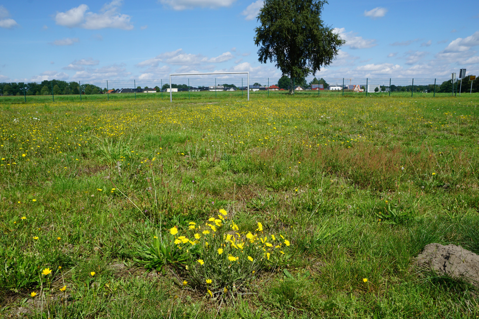 Fairplay-Sportplatz in Harsewinkel