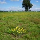 Fairplay-Sportplatz in Harsewinkel