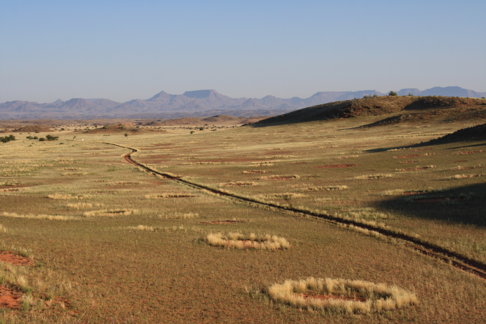 Fairy Circles