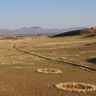 Fairy Circles