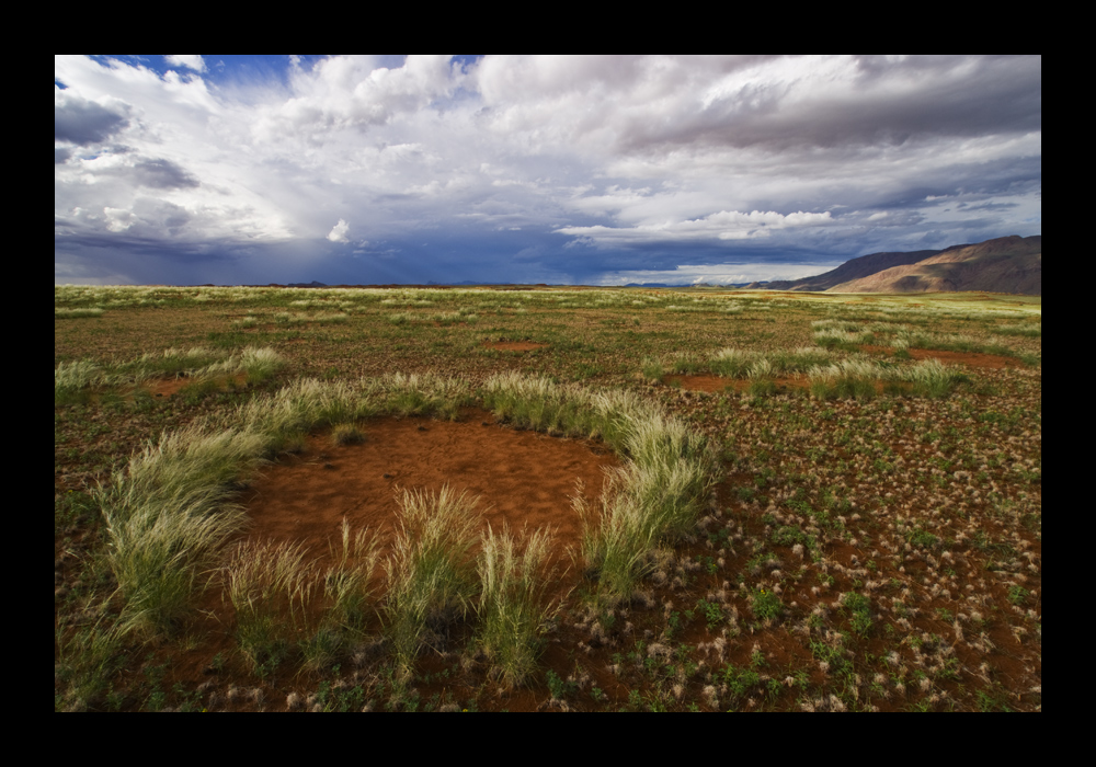 fairy circles