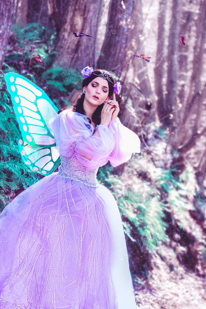 fairy