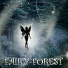 Fairy Forest