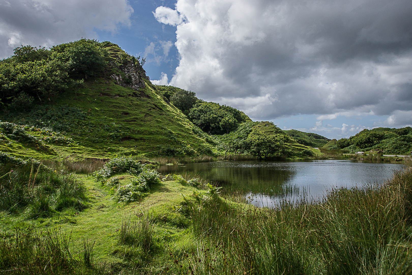 Fairy Glen