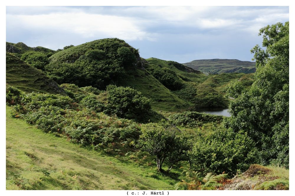 fairy glen