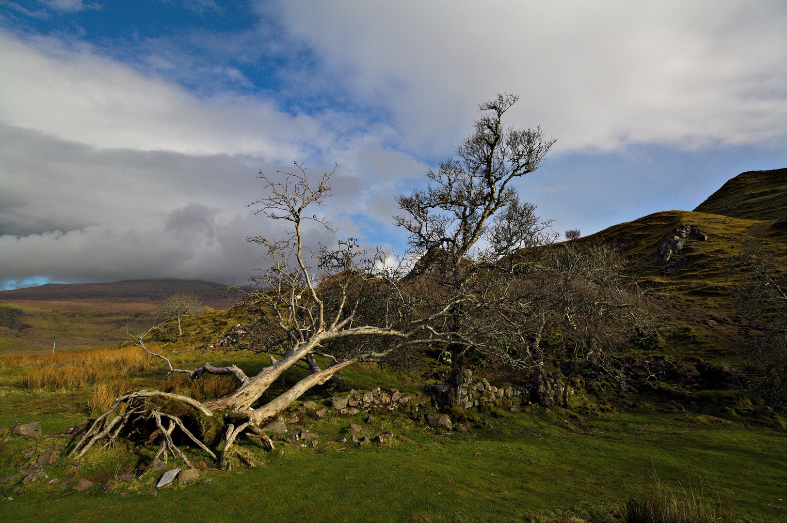 Fairy Glen