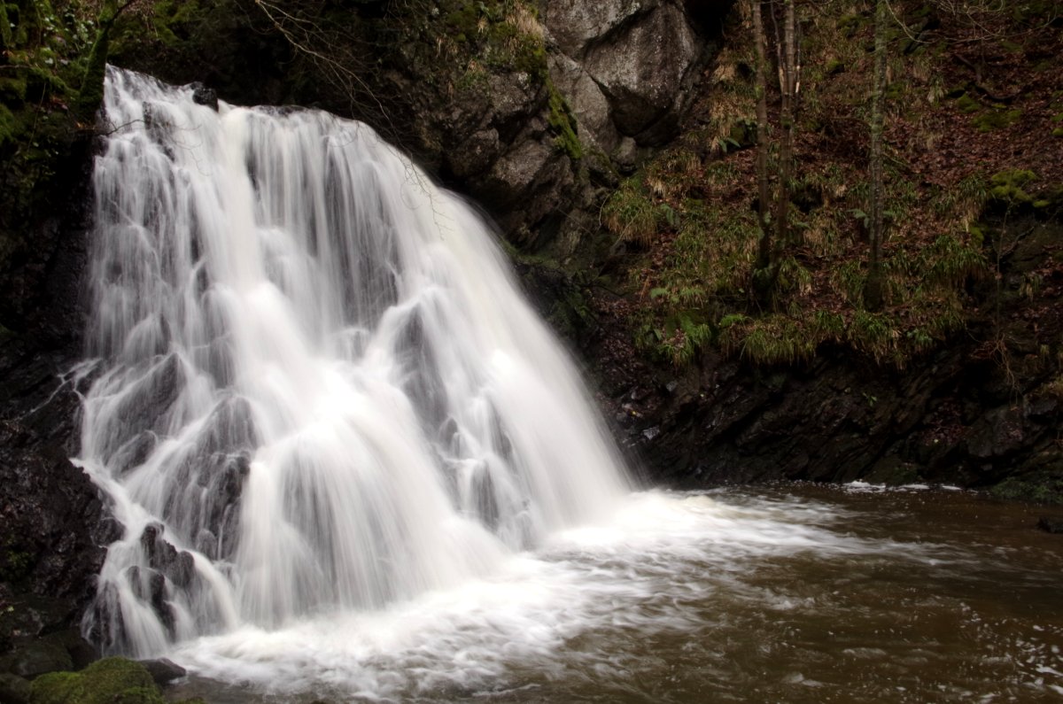 Fairy Glen