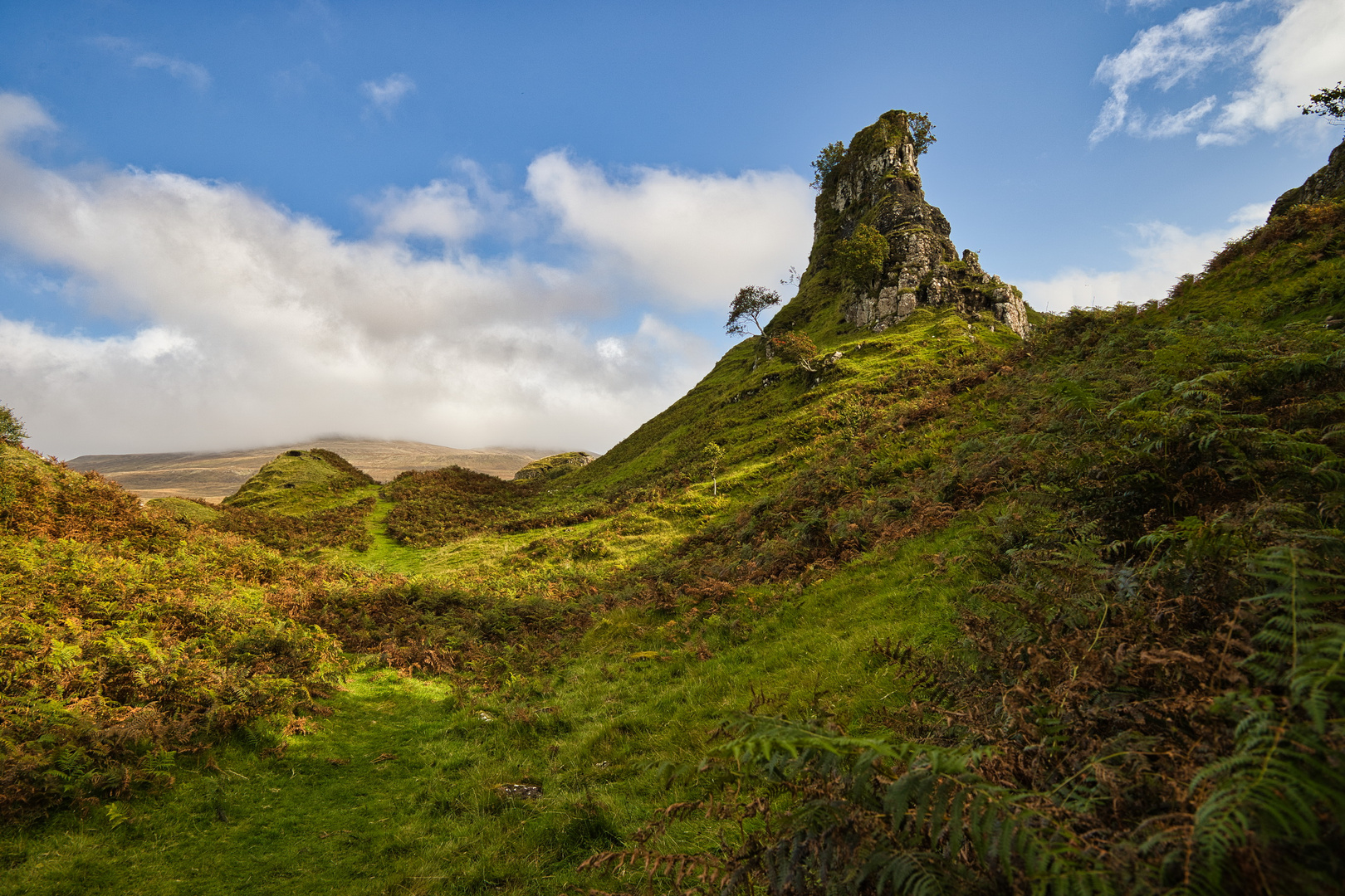 Fairy Glen_MG_9693