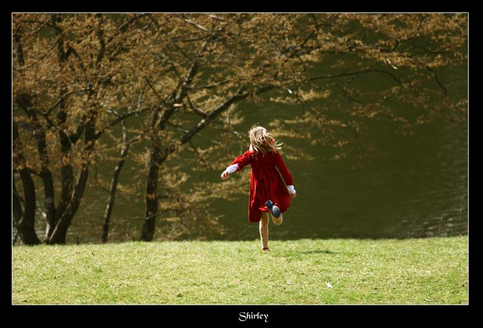 Fairy in the forest