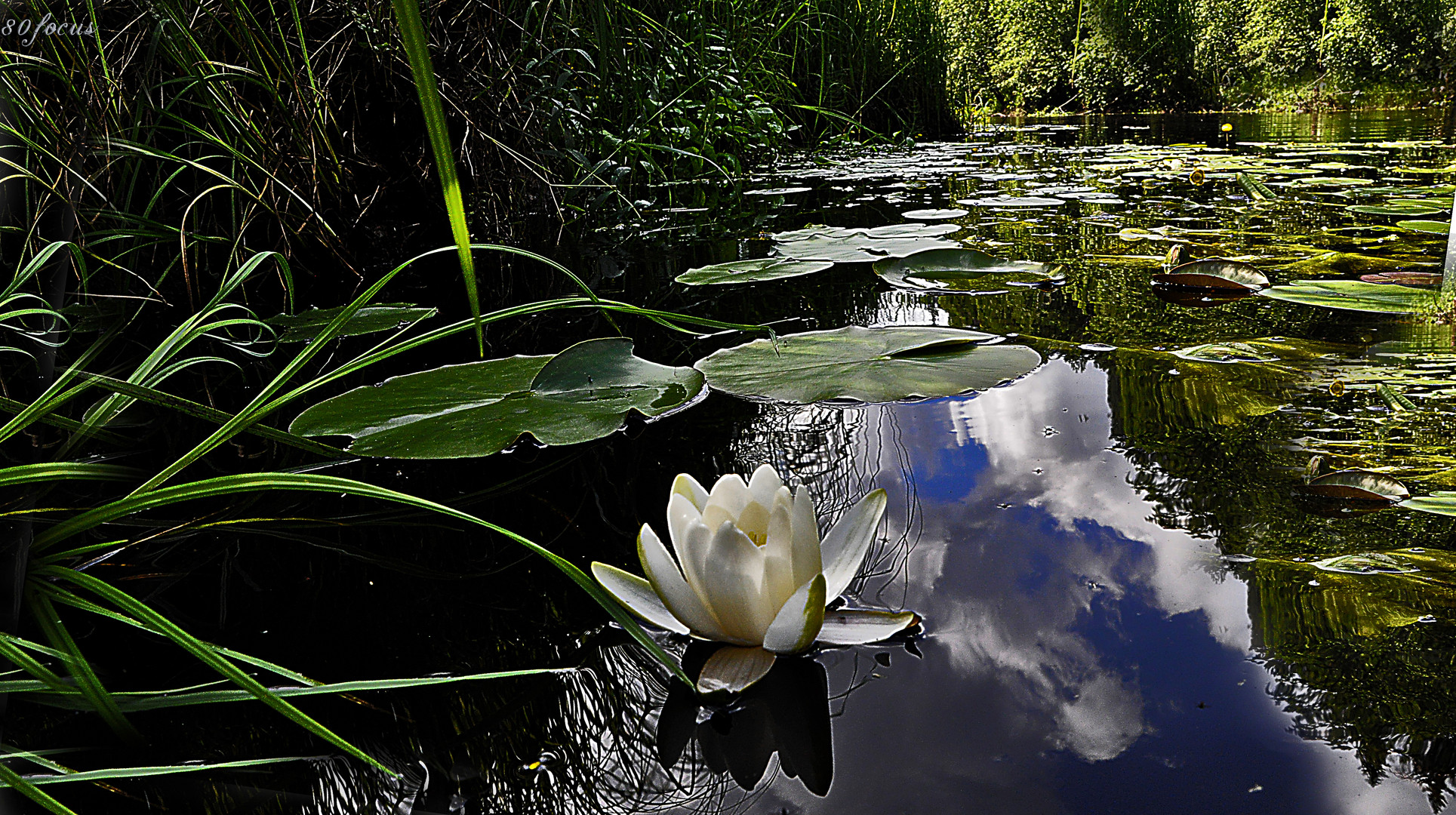 Fairy of the small small river