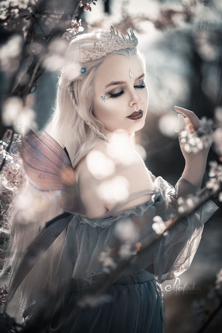 Fairy Princess 