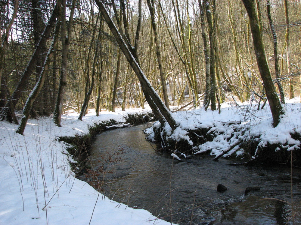 Fairy tale atmosphere in the winter