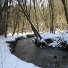 Fairy tale atmosphere in the winter