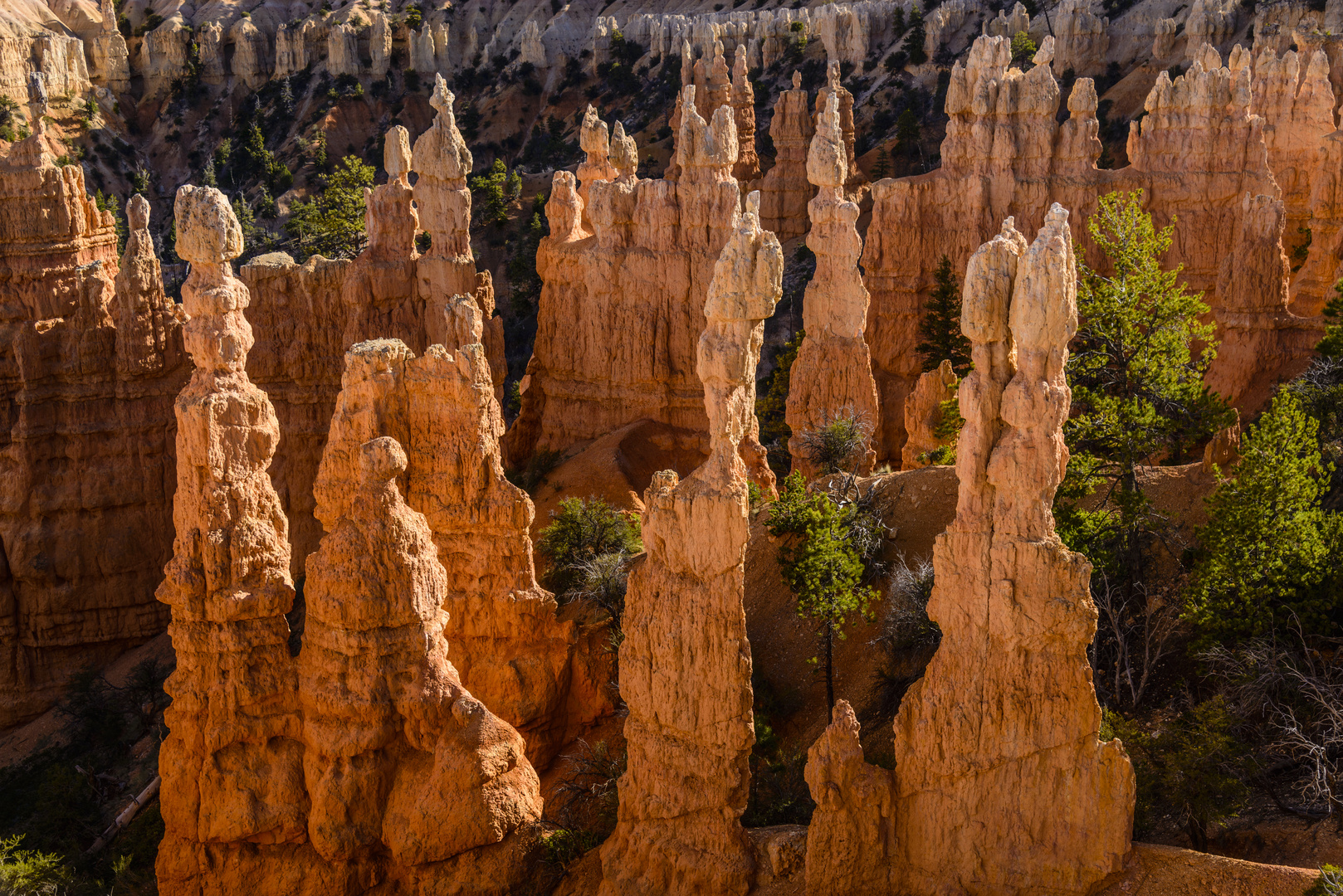 Fairyland Point, Bryce Canyon NP, Utah, USA