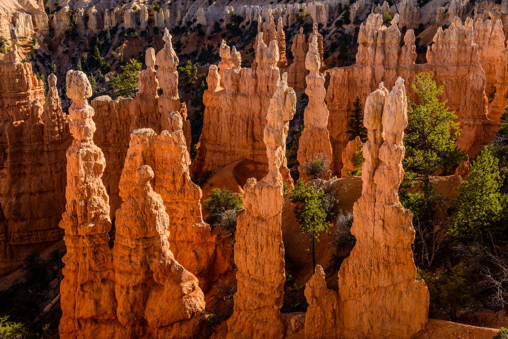 Fairyland Point, Bryce Canyon NP, Utah, USA