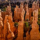 Fairyland Point, Bryce Canyon NP, Utah, USA