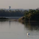 Fais-moi un cygne !