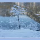 Faistenauer Hintersee im Winter