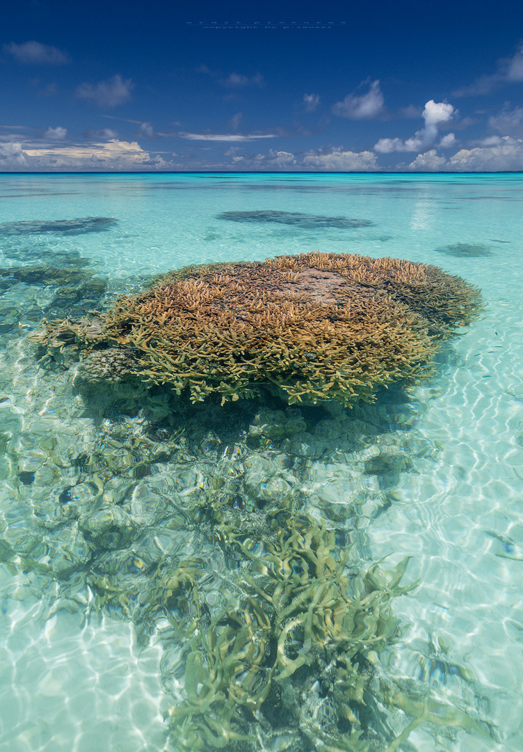 Fakarava Atoll - French Polynesia 10-2015