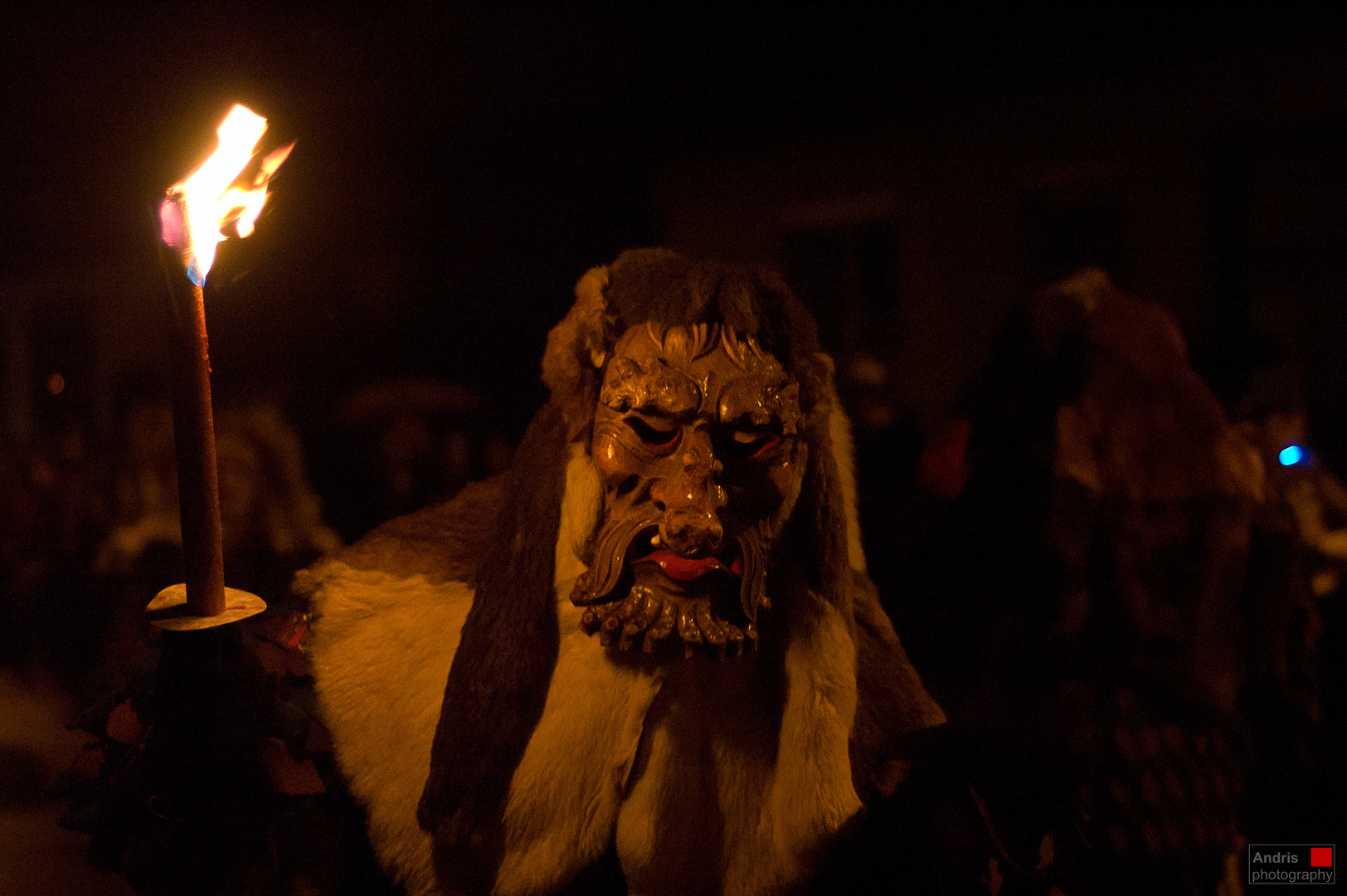 Fakelumzug in Buchholz 26.02.2011