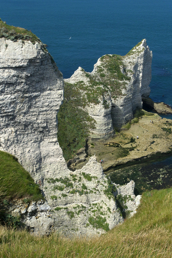 Falaise d'amont à Etretat