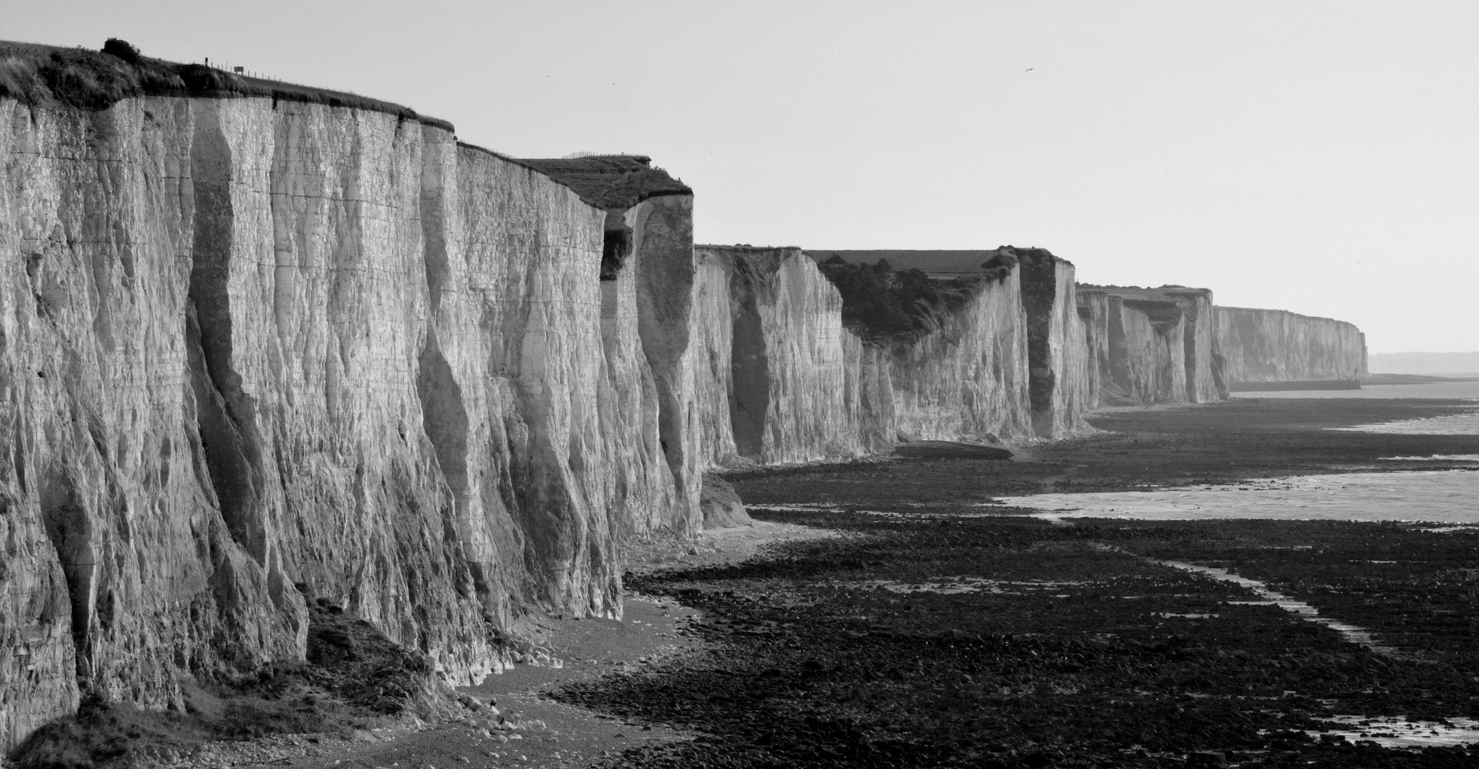 Falaise de Ault , Omnival, Baie de Somme