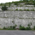 falaise de craie