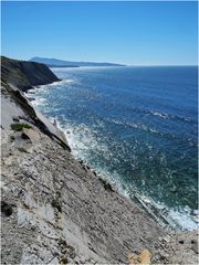 Falaise de flysch à la Corniche Basque