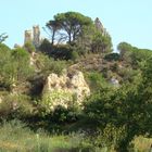 FALAISE DE SABLE SCULTEE PAR L EROSION