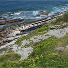 Falaises de flysch de la Corniche Basque