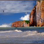 falaises de la côte d'opale 