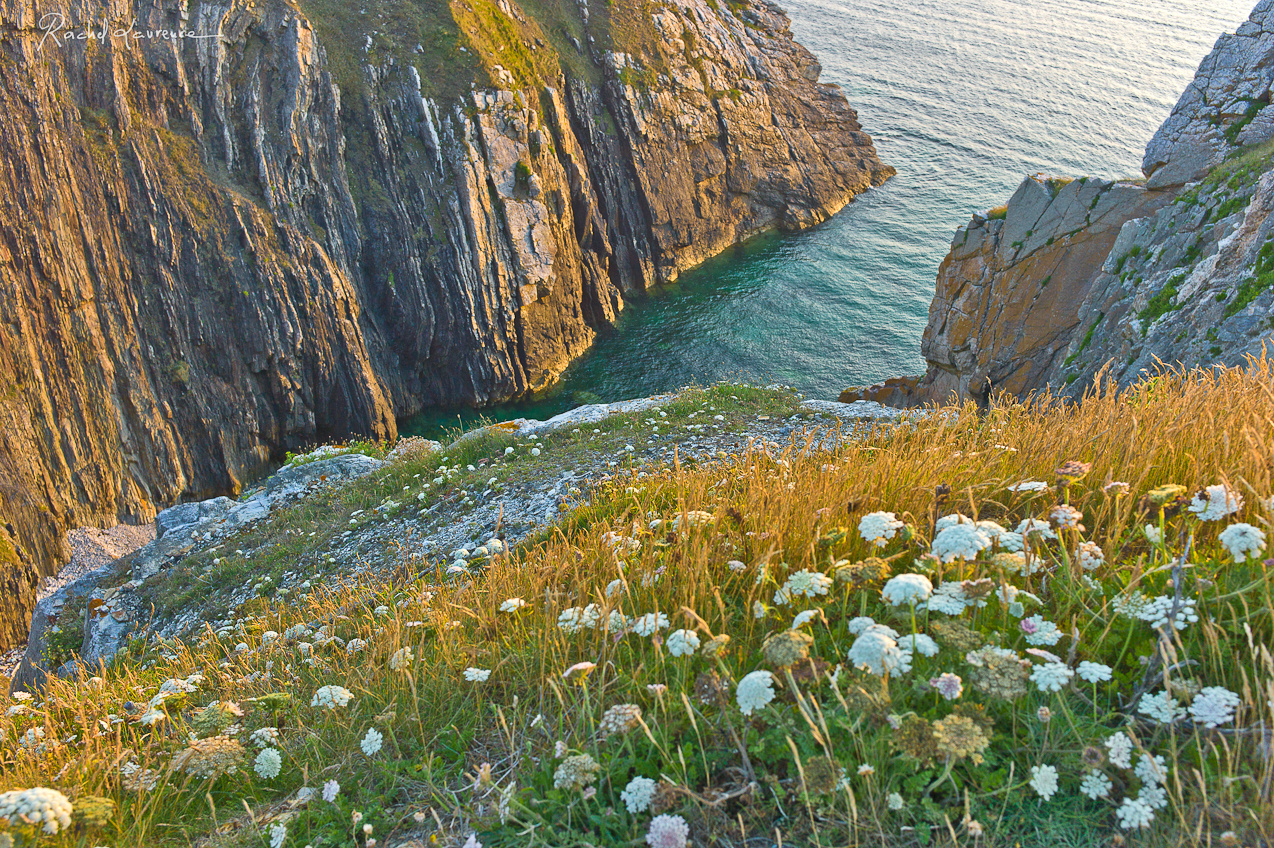 camaret sur mer falaises