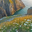 Falaises près de Camaret sur Mer, Bretagne, Finistère