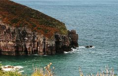 Falaises vues d'en haut 