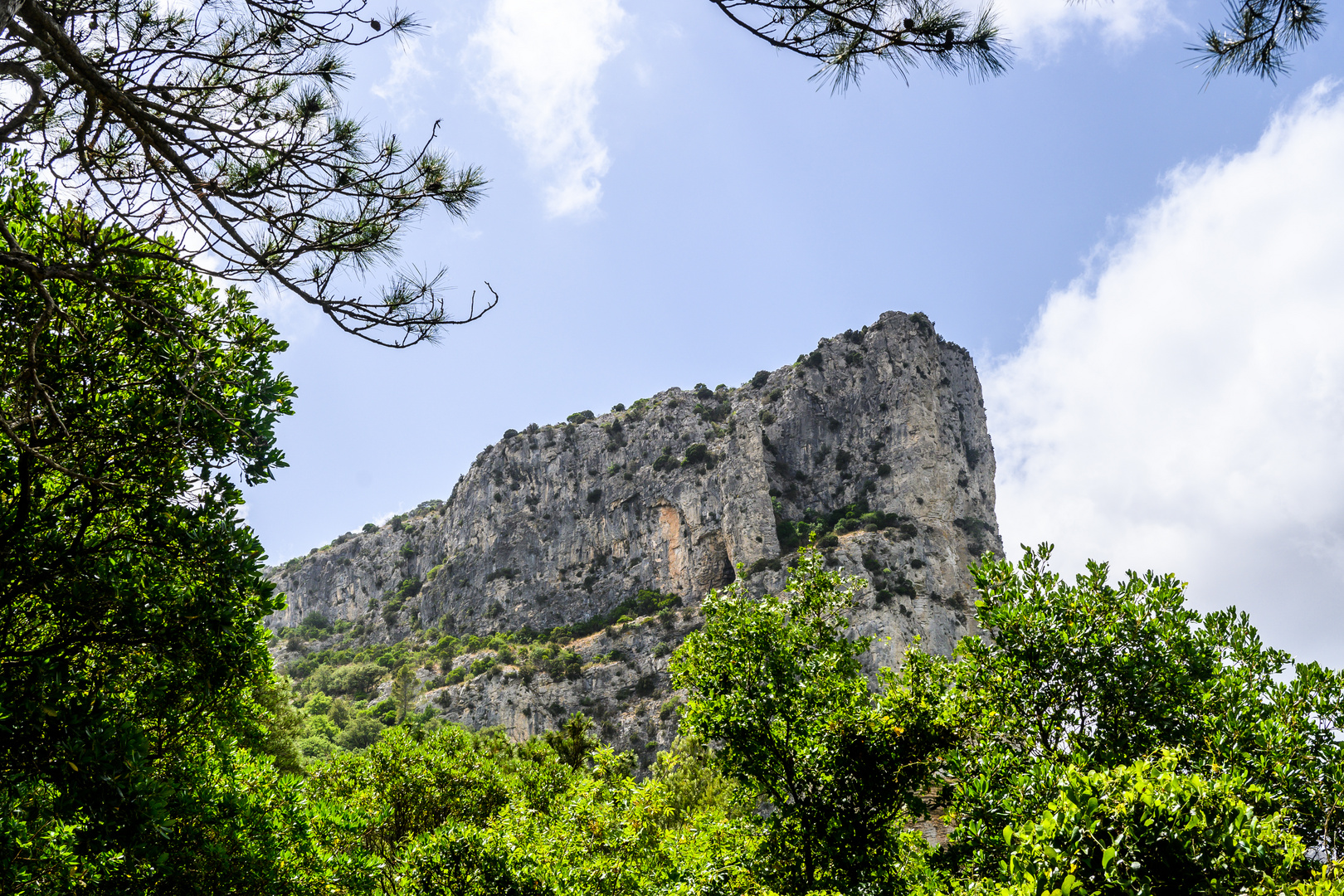 Falaisse de Bissonne 