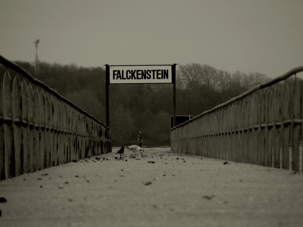 Falckenstein