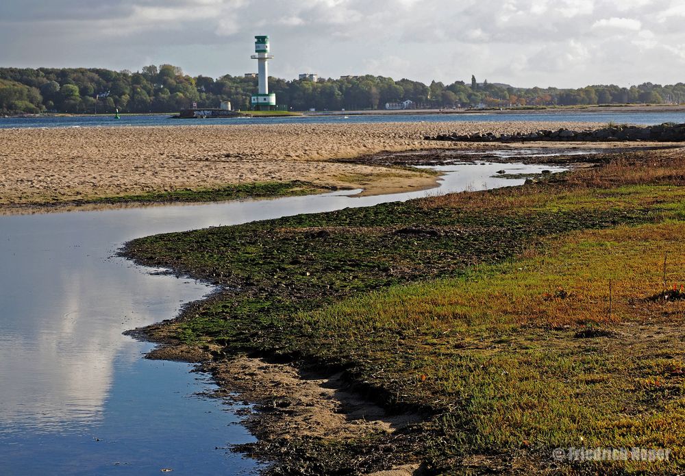 Falckensteiner Ufer bei Niedrigwasser