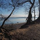 Falckensteiner Ufer - Blick über die Förde