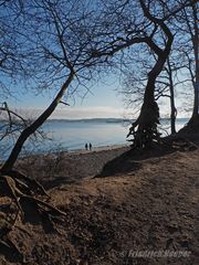 Falckensteiner Ufer - Blick über die Förde